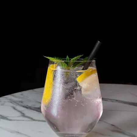 Zepter Spa Wellness Hotel & Zepterme Member Of Zepter Hotels 4* Vrnjačka Banja