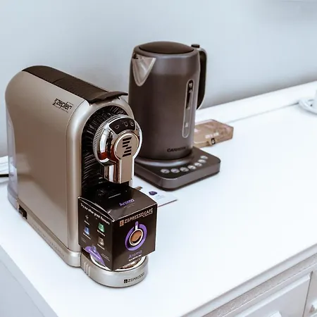 Zepter Spa Wellness Hotel & Zepterme Member Of Zepter Hotels Hotel Vrnjačka Banja