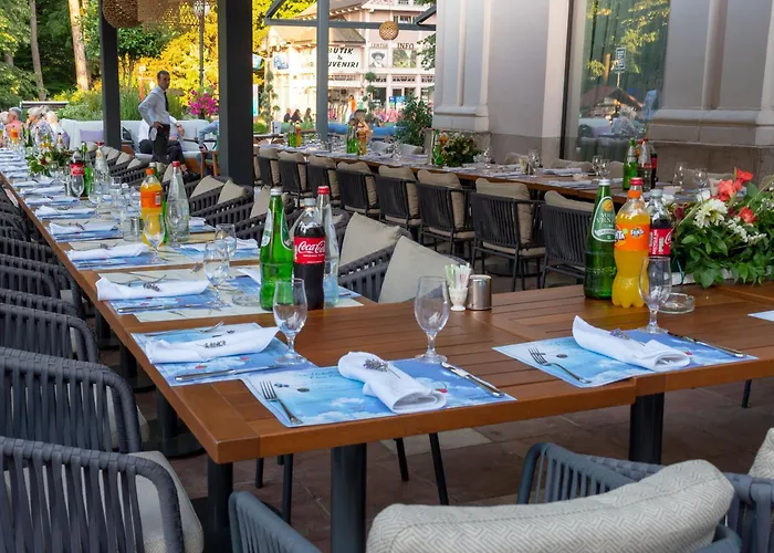 Zepter Wellness & Zepterme Member Of Zepter 4* Vrnjacka Banja